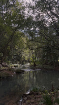 Whiskey Creek Camping Stay