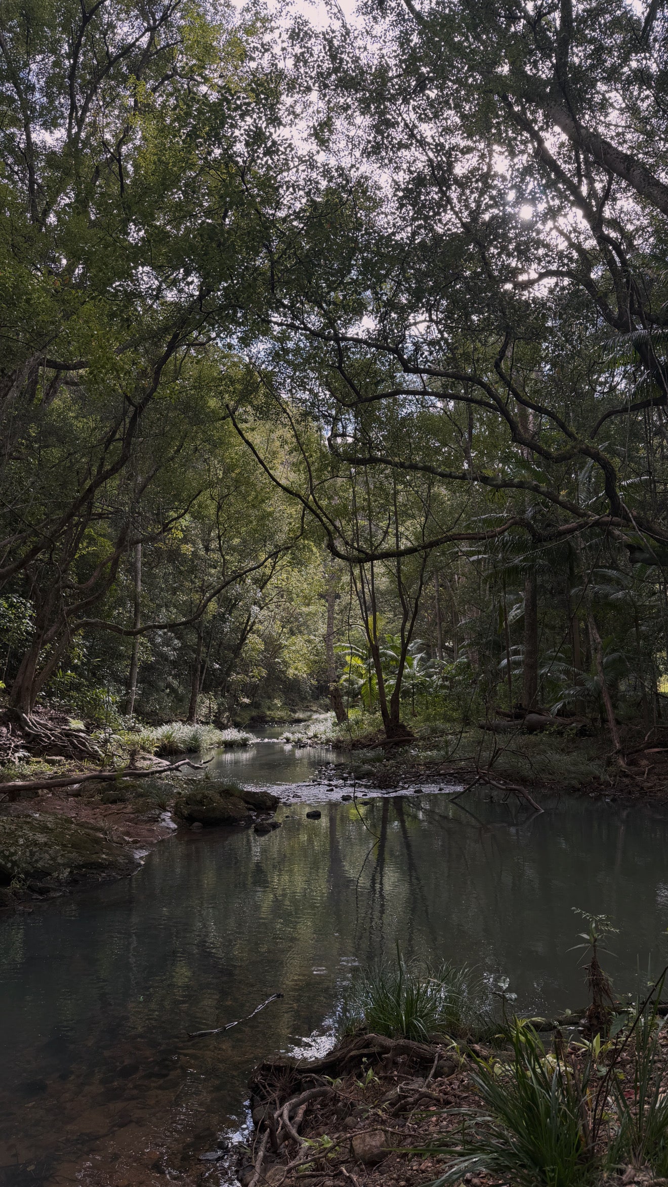 Whiskey Creek Camping Stay